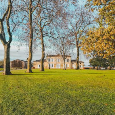 Brown Bare Trees on Green Grass Field