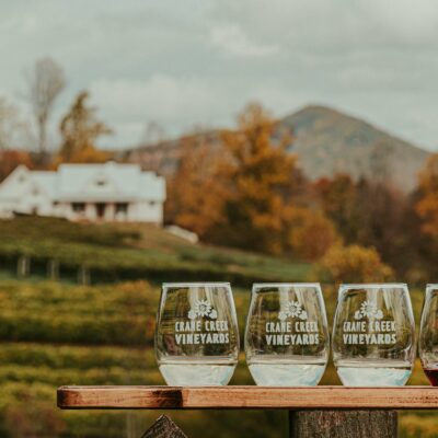 Crystal glasses of wine placed on wooden table near vineyards located in mountainous countryside against cloudy sky on autumn day