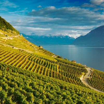 Lavaux, Switzerland: Lake Geneva and the Swiss Alps landscape seen from Lavaux vineyard tarraces in Canton of Vaud