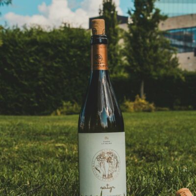 White and Black Labeled Bottle on Green Grass Field